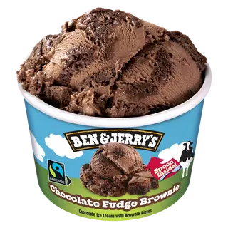 B&J Chocolate Fudge Brownie 100ml
