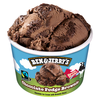 B&J Chocolate Fudge Brownie 100ml