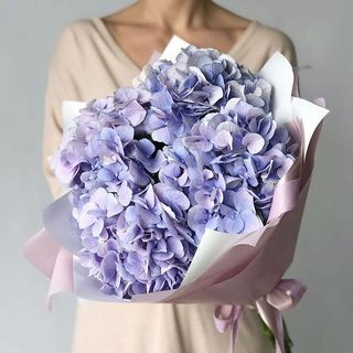 Buchet din 5 Hortensii Albastre