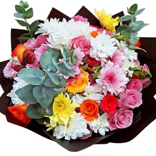 Multi-Colored Garden