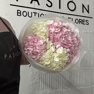 5 Колумбійських гортензій