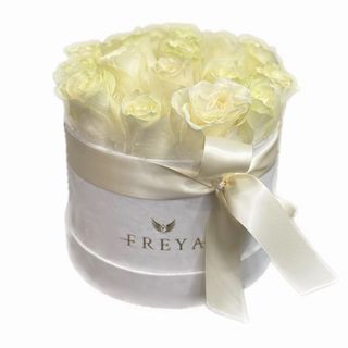 Cutie mica 11 trandafiri Mondial