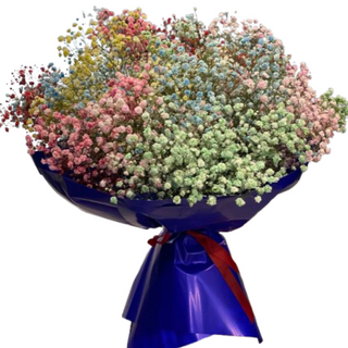 Bukiet gipsówki kolorowej <<M<<