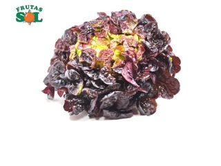 Lechuga Hoja De Roble (Unidad)