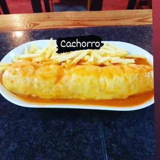 Cachorro Normal