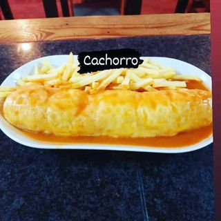 Cachorro Normal
