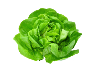 Salata verde