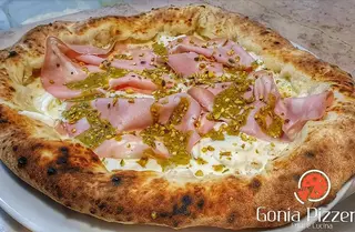 Bologna