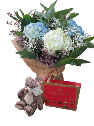 Ramo De Hortensias, Bombones Y Oso Peluche