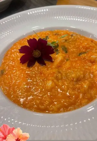 Risotto ai gamberi