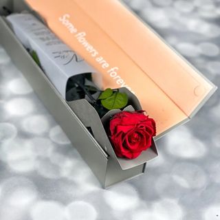 Trandafir criogenat Verdissimo