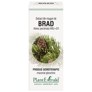 Extract din muguri de brad 50 ml (ABIES PECT)