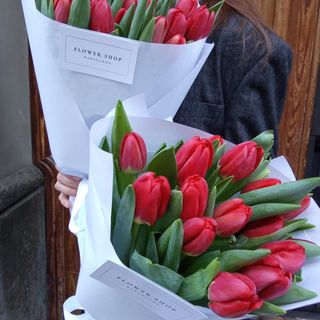 Tulipanes Románticos 