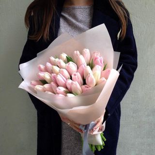 25 Tulipanes Rosas