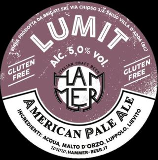 Lumit APA Gluten Free 5,0% bottiglia 33cl