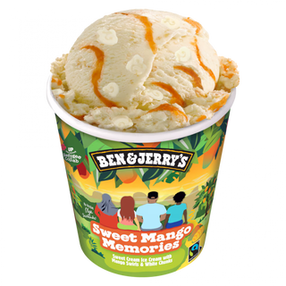 B&J Sweet Mango Memories 465ml