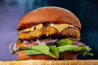 Hamburguer Vegetal