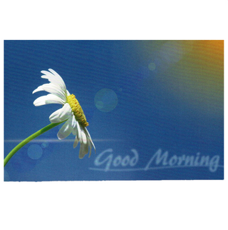 Tarjeta Margarita Buenos Dias