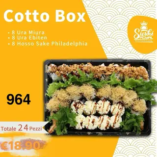 964. Menù cotto box 24 pezzi