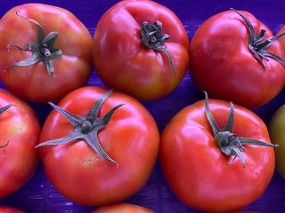 Tomate para ensalada