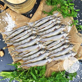 Gromadnik mrożony 1kg