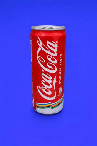 Coca-Cola Lattina 330 ml