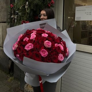 SCARLET & BLUSH DREAM