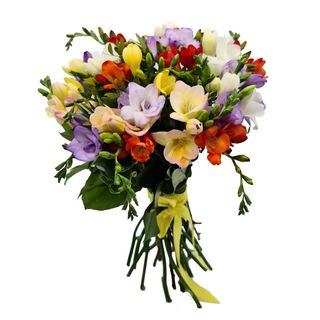 Buchet 25 frezii multicolore