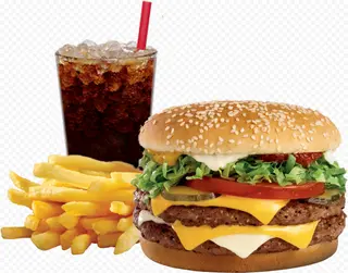Double Cheese Burger