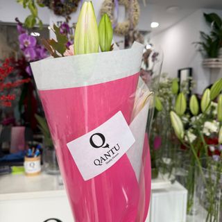 Lilium Rosa ( 1 Tallo )