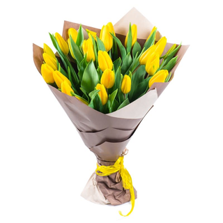 Tulipani gialli