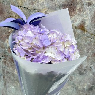 Hortensia Lavanda 1 tallo 