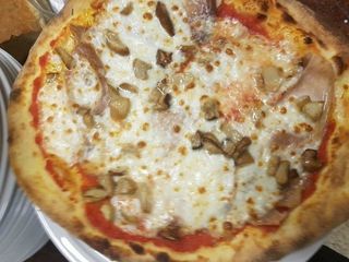 Porcellina