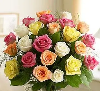 12 Rose misto colore 