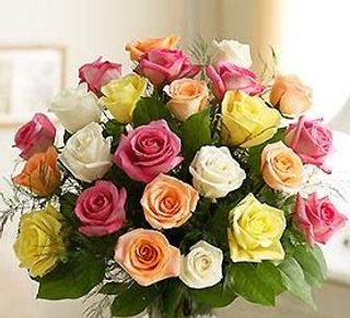 12 Rose misto colore 