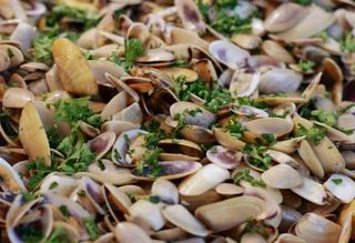 Telline à Vapeur (Coquinas)