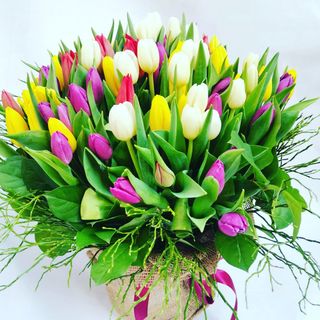 Bouquet tulipani 