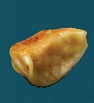 7. Ravioli griglia - 4 pezzi