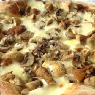 Porcini