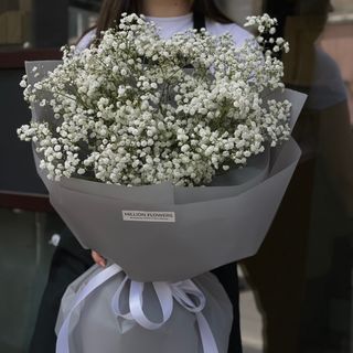 9 гілочок білої гіпсофіли 