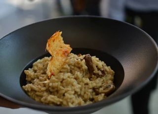 Risotto Pollo foresto