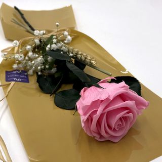 Rosa Rosa Preservada