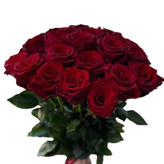 7szt. Róże czerwone  ekwadorskie  średniej wysokości