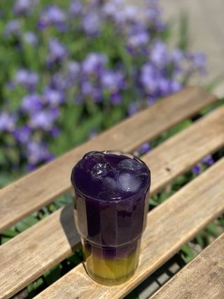 Анчан Оранж