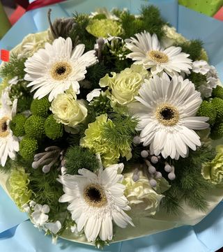 Bukiet biala gerbera