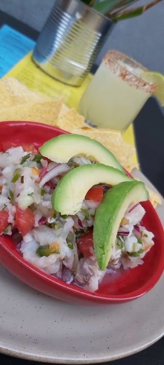 Ceviche de Tubarão