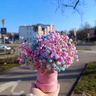 FlowerBox z kolorowej gipsówki rozmiar M