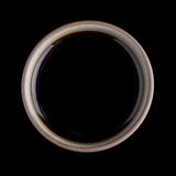 უნაგის სოუსი