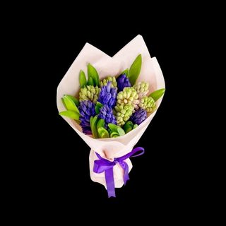 11 Zambile Olandeze Mixte