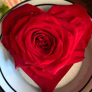 Cuore di rosa rossa stabilizzata 